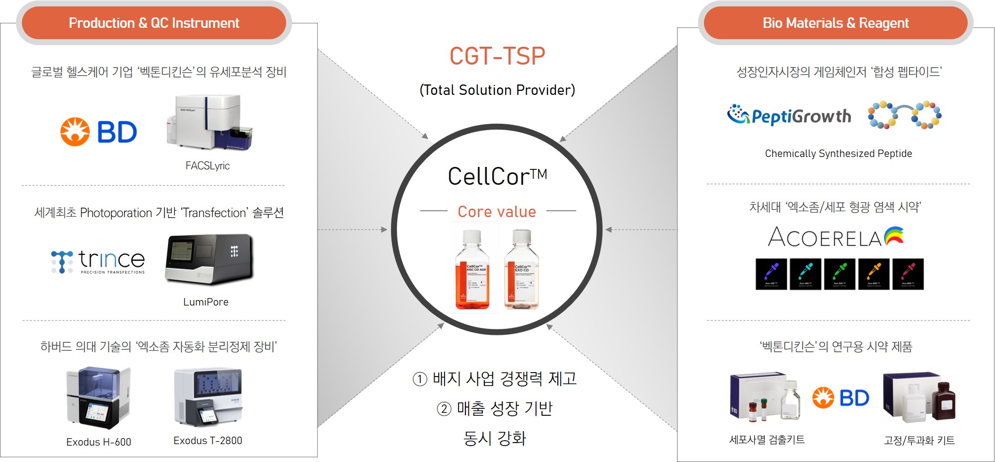 Xcell Therapeutics/Registration Statement (Equity securities)/2025.09.01